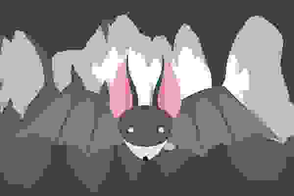 Le syndrome du museau blanc de la chauve-souris