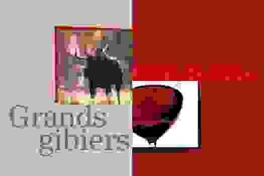 Livre de recettes des grands gibiers