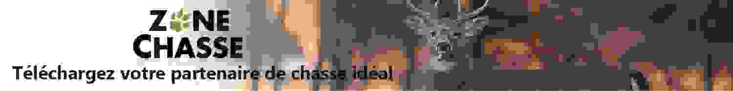 Publicité
