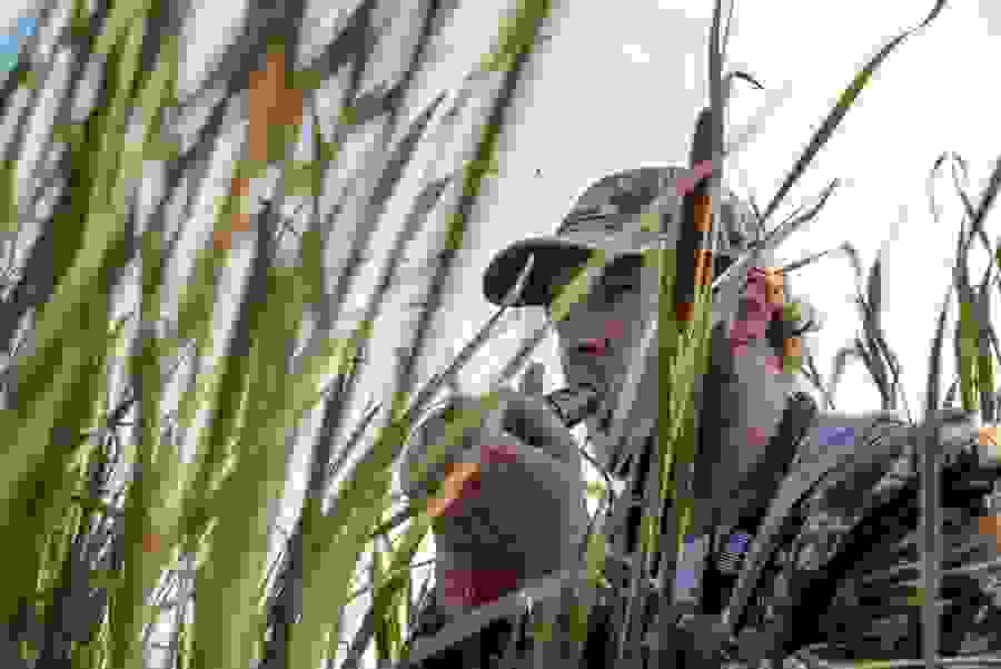 Initiation à la chasse à la sauvagine avec l'Association des sauvaginiers de la grande région de Québec
